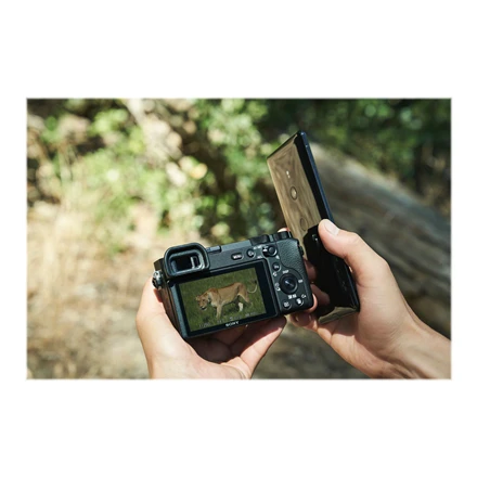 Sony A6600