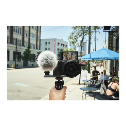 Sony A6600