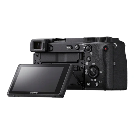Sony A6600
