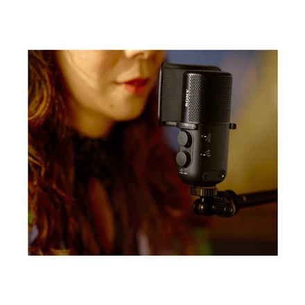 Sony | Belaidis transliacinis mikrofonas | ECM-S1