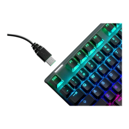 Belaidė žaidimų klaviatūra SteelSeries Apex Pro TKL 2023, su RGB LED pašvietimu, US išdėstymas (64865)