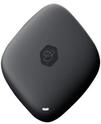 Kietasis diskas Synology BeeDrive Personal Backup Hub | BDS70-1T | 1000 GB | USB 3.2 | Juodas
