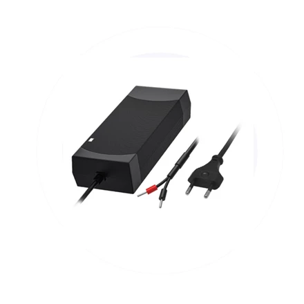 Teltonika TSW200 maitinimo adapteris su laidais