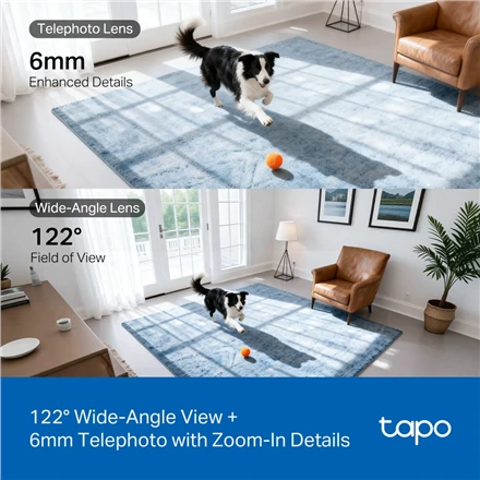 TP-Link Tapo C245D