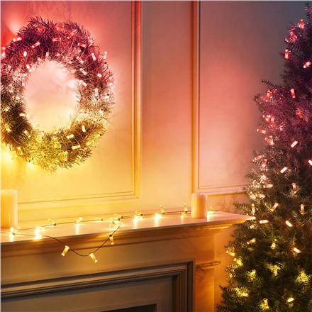Kalėdinė girlianda Twinkly Candies 100 RGB LED USB- C, žalios spalvos laidas