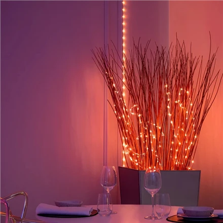 „Twinkly Dots“ išmaniosios LED lemputės, 60 RGB (daugiaspalvės), maitinamos USB, 3 m, skaidrios RGB – 16 mln.+ spalvų