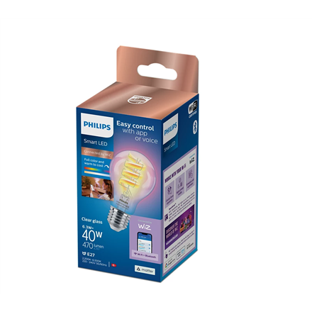 Išmanusis šviesos diodas skaidri lemputė Philips 40W A60 E27