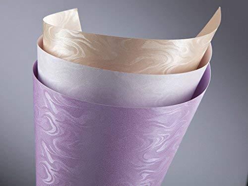 Galeria Papieru Dekoratyvinis popierius PAPIRUS A4 baltas 220g 20l