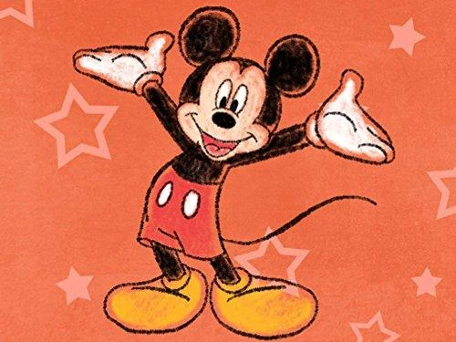 Disney meno akademija – Nintendo 3DS