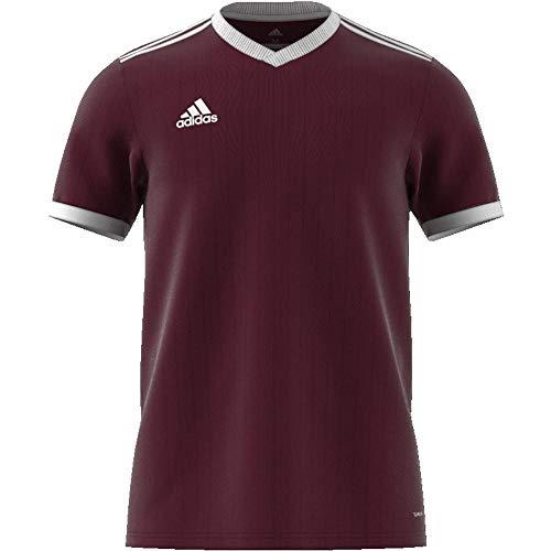 Adidas Table 18 marškinėliai CE8945 M bordo