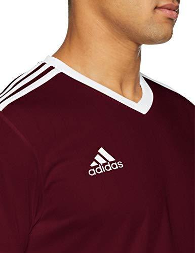 Adidas Table 18 marškinėliai CE8945 M bordo