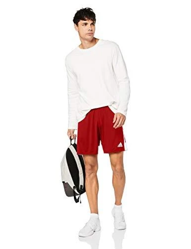 Šortai vyrams Adidas Tastigo 19 M DP3681, raudoni