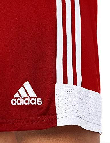 Šortai vyrams Adidas Tastigo 19 M DP3681, raudoni