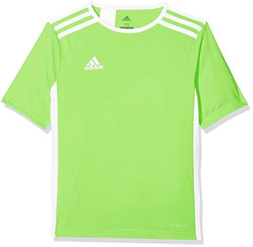 Adidas Entrada 18 CE9758 futbolo marškinėliai