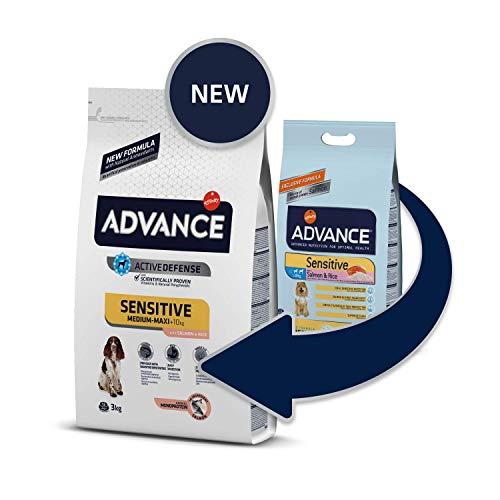 ADVANCE Sensitive su lašiša ir ryžiais 12kg