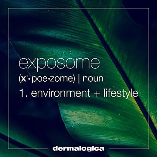 „Dermalogica Phyto Nature“ stangrinamasis veido serumas, 40 ml
