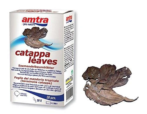 Amtra Pro Nature Catappa lapai 30vnt