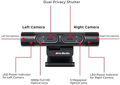 Avermedia dualcam pw313d