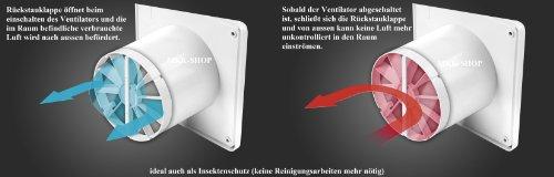 12338 Tiesus kastuvas su medine rankena 117 cm