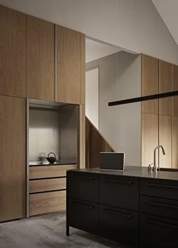 Nešiojama kolonėlė Bang & Olufsen Beosound Level su WiFi ir Google balso asistentu