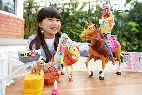 Lėlė Barbie Mattel - Stadnina Koni (FXH15)