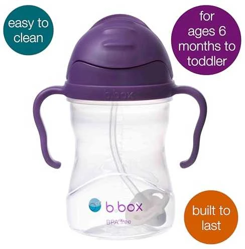 BBOX 240 ml citrinų skonio vandens buteliukas su šiaudeliu, dėžutėje