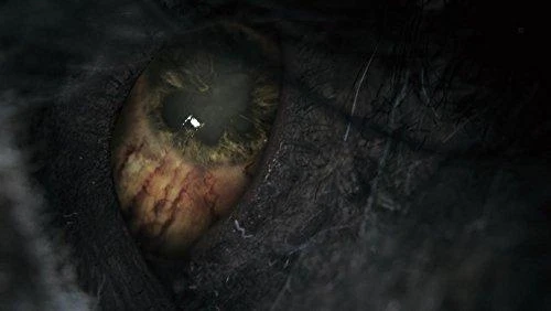 „Fromsoftware Bloodborne: Game Of The Year Edition“ PS4