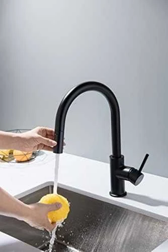BlueWater Virtuvinis maišytuvas su ištraukiama žarna Mėlyna Vanduo Plaza matinis juodas