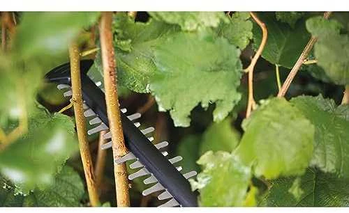 Akumuliatorinės gyvatvorių žirklės Bosch Universal HedgeCut 18-55