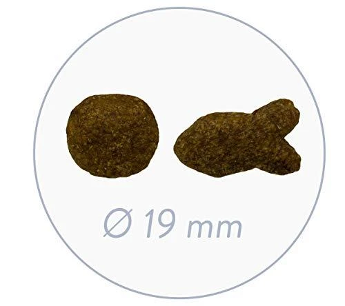 Bosch Petfood bosch šuo SUAUGUSIŲ ŽUVYS IR BULVĖS 15kg