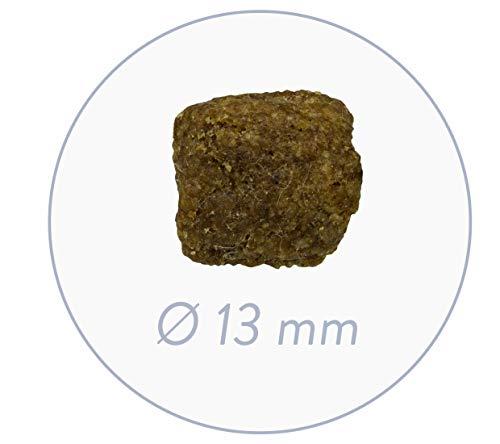 bosch Dog ADULT Poultry & Millet paukštiena ir soros 1kg