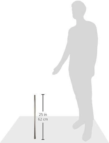 Bosch SDS max plokščias kaltas 25x600 mm