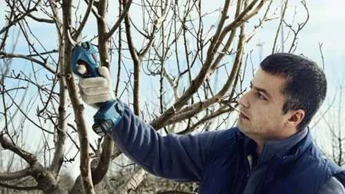 BOSCH akumuliatorinis sekatorius 12V PRO PRUNER 25mm 2x3,0Ah