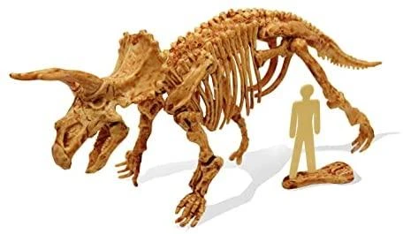 Dėlionė Tyrimų rinkinys, Triceratops, Buki DinoKit
