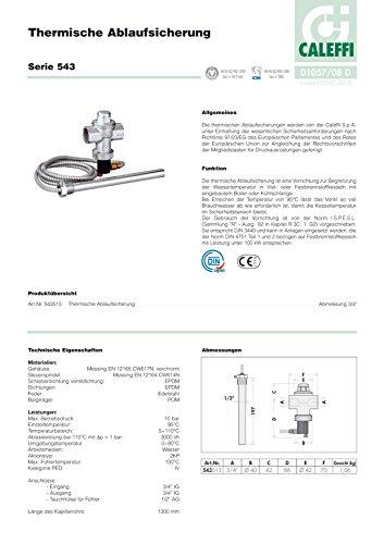 Caleffi International Nv „Caleffi“ terminis apsauginis vožtuvas kietojo kuro katilams su dvigubu temperatūros jutikliu 3/4'' (543513)