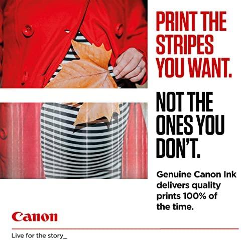 Canon PG-545XL/CL546XL rašalo kasetės, + GP501 10x15 foto popierius