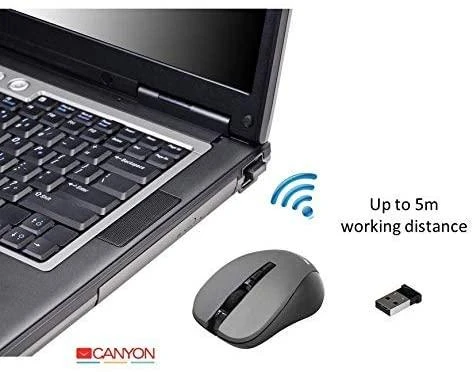 Belaidė klasikinės formos pelė Canyon MW-1, Pilka