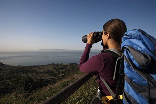 Žiūronai Celestron Skymaster 12x60