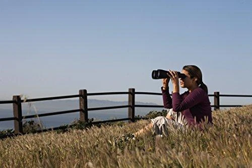 Žiūronai Celestron Skymaster 12x60