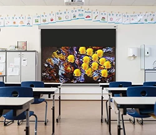 „Celexon Rollo Professional“ drobė, 200 x 200 cm