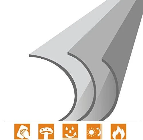 Celexon Europe „Celexon Projektoriaus ekranas Motor Professional“ Formatas 1:1, 200 x 200 cm