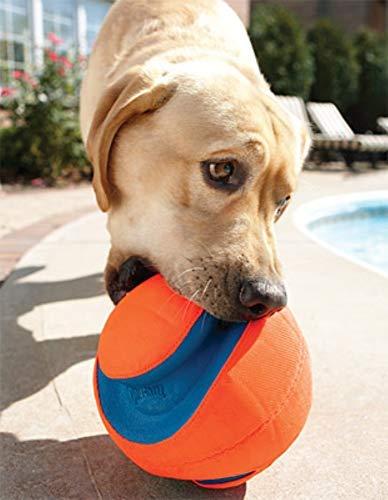 Chuckit! KICK FETCH MAŽAS (251101)