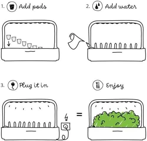 Click & Grow sėklos išmaniajam vazonui - katžolė, 3 vnt.