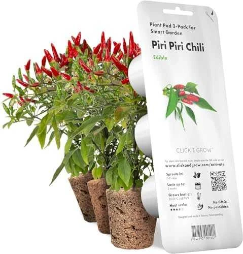 Click & Grow sėklos išmaniajam vazonui - Piri Piri čili pipirai (SGR67X3) 3vnt.