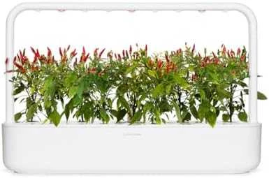 Click & Grow sėklos išmaniajam vazonui - Piri Piri čili pipirai (SGR67X3) 3vnt.