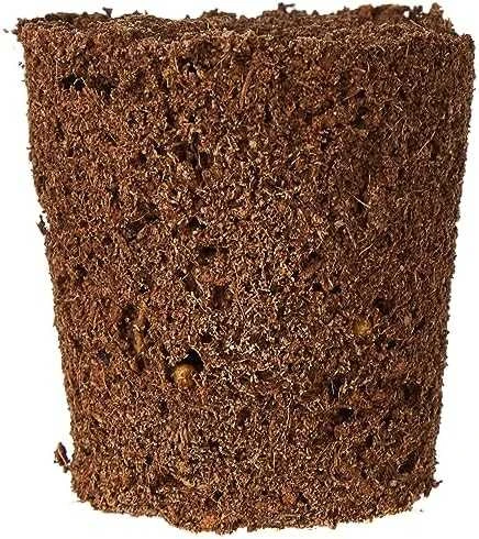 Click & Grow sėklos išmaniajam vazonui - Mišrios salotų sėklos (PPMSAX9) 9vnt.