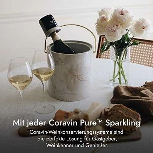 Coravin kapsulės "Pure Sparkling CO2 (20g)", 6 vnt