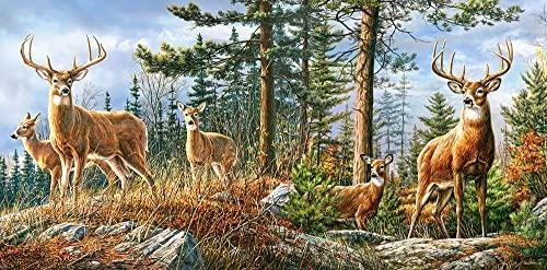 Castorland Dėlionė 4000 vnt. - Elnių šeima