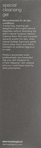 Dermalogica specialus valomasis gelis, 250 ml
