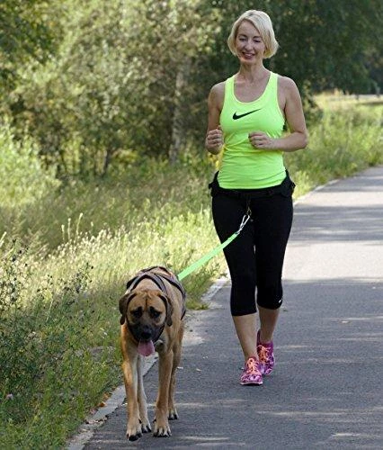 Dingo pavadėlis su amortizatoriumi ir 2 karabinais, ilgis 170 cm - 14698